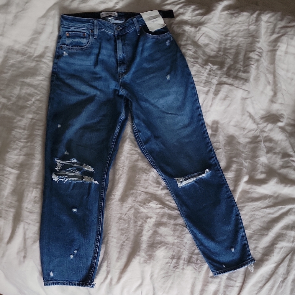 NWT A&F Abercrombie & Fitch Curve Love "The Mom" High Rise Jeans, size 29 / 8L